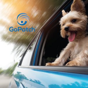 GoPatch makes dogs happy