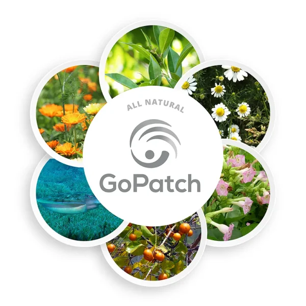 GoPatch Tummy (6 Pack) - Image 4