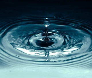 Homeopathy + Healing: Nature’s Best Secret